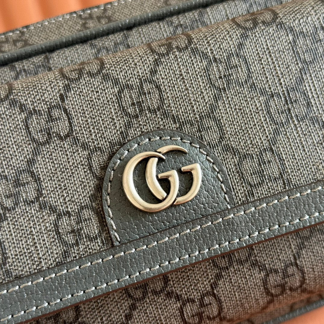 Gucci Ophidia Mini Handbag Gray Canvas Leather 272066 mysite