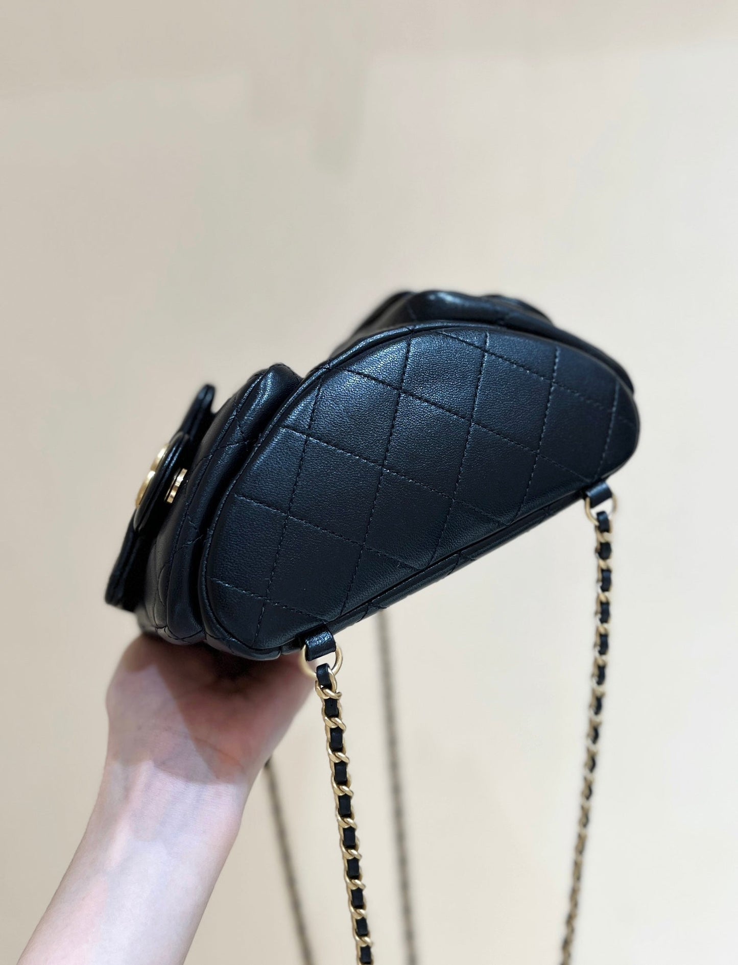 25C Backpack 18cm Black Calfsin Gold Hardware mysite