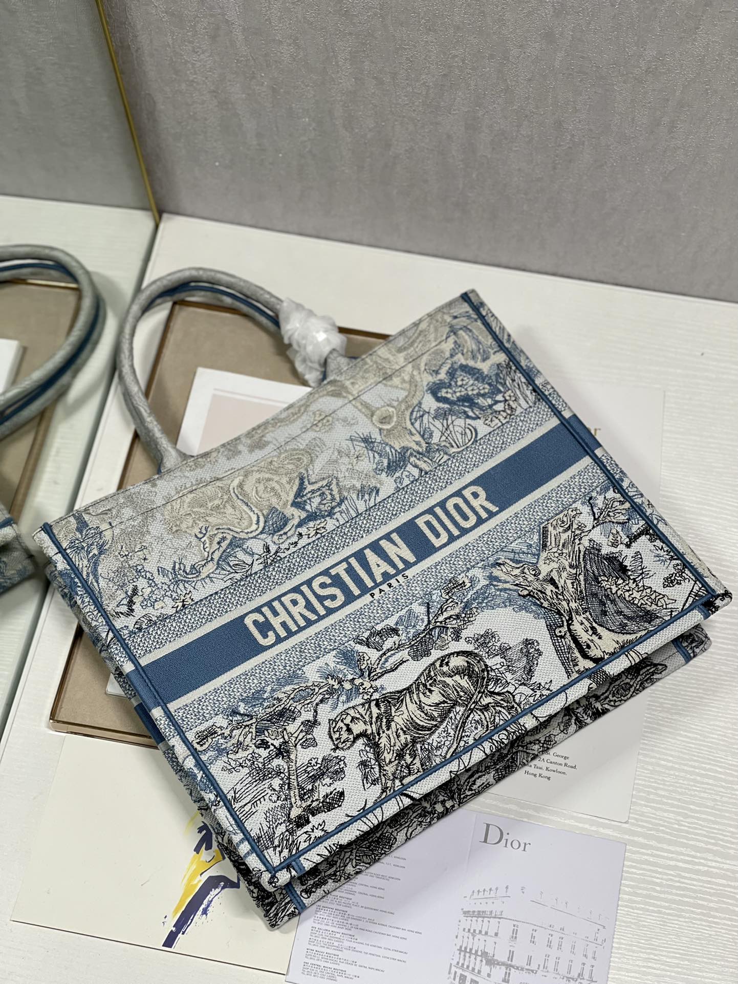 Large CD Book Tote 42cm Gradient Blue Tiger