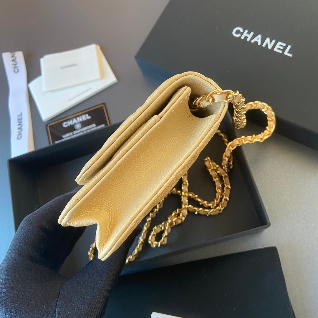 CC Woc 20cm Lime Grained Calfskin Gold Hardware mysite