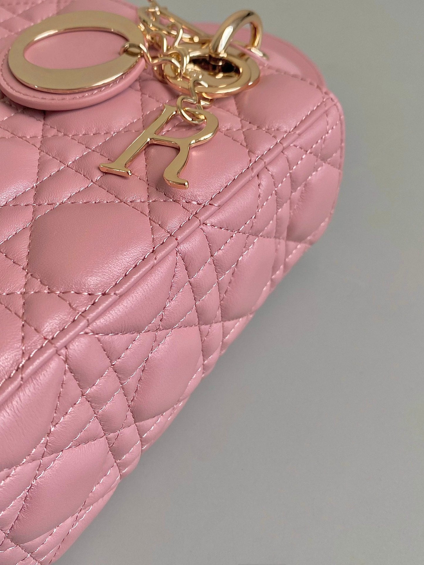 SMALL LADY 20 POWDER PINK LAMBSKIN mysite