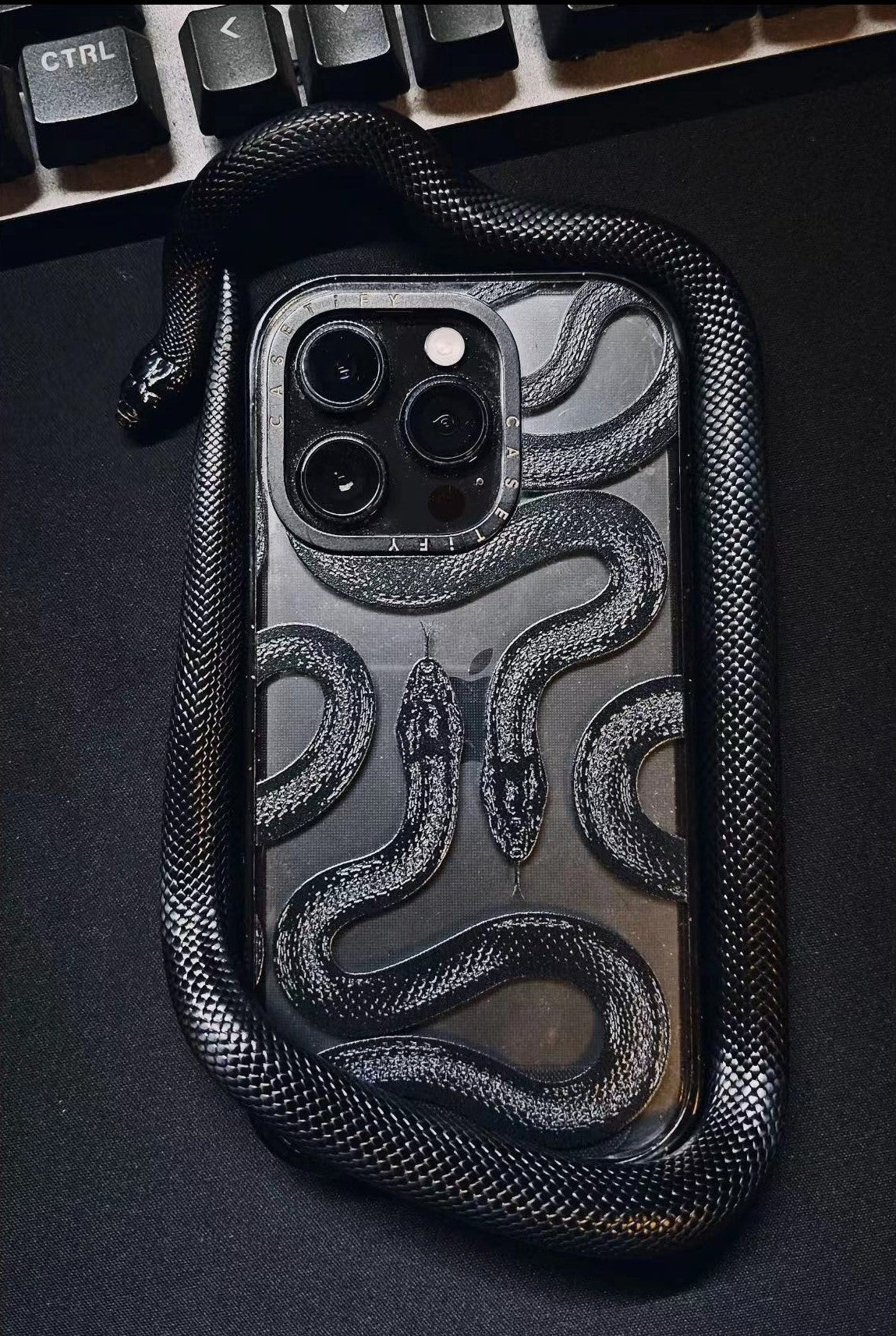 BLACK KINGSNAKE iPHONE CASE mysite