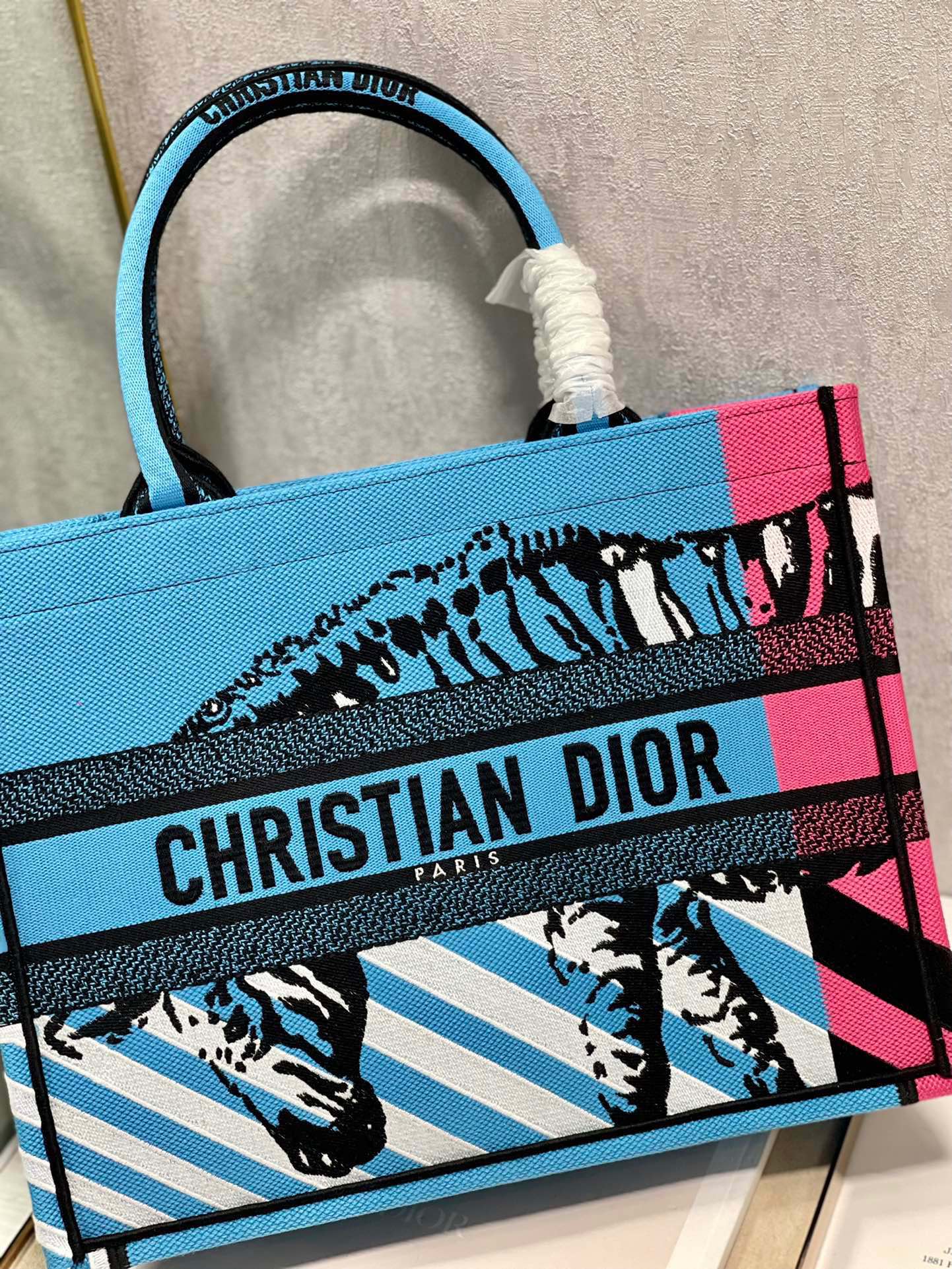 CD Zebra Book Tote Bag Blue Canvas 336519 mysite