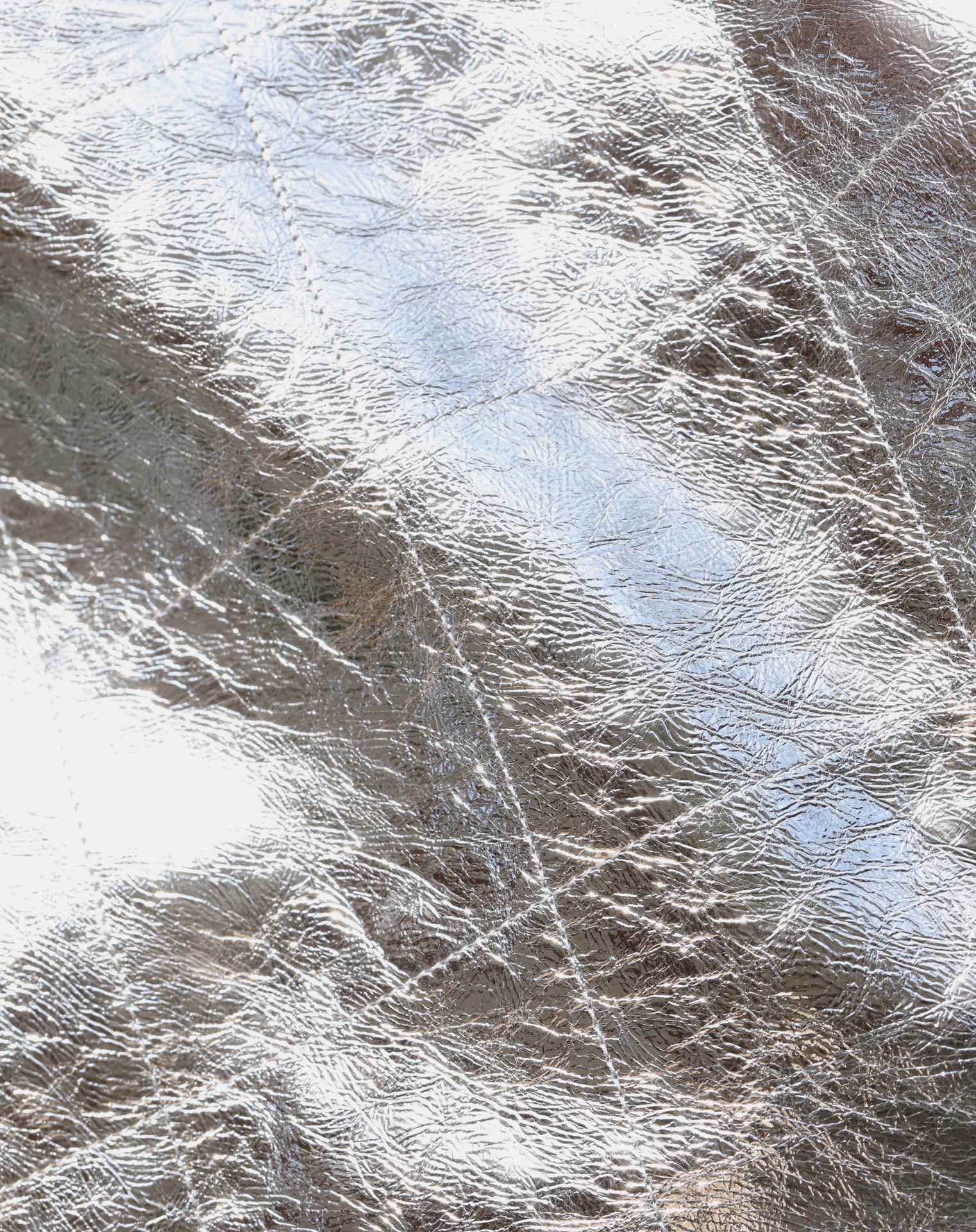 25C Hobo 22 Bag 35cm Silver Metalic Lambskin mysite