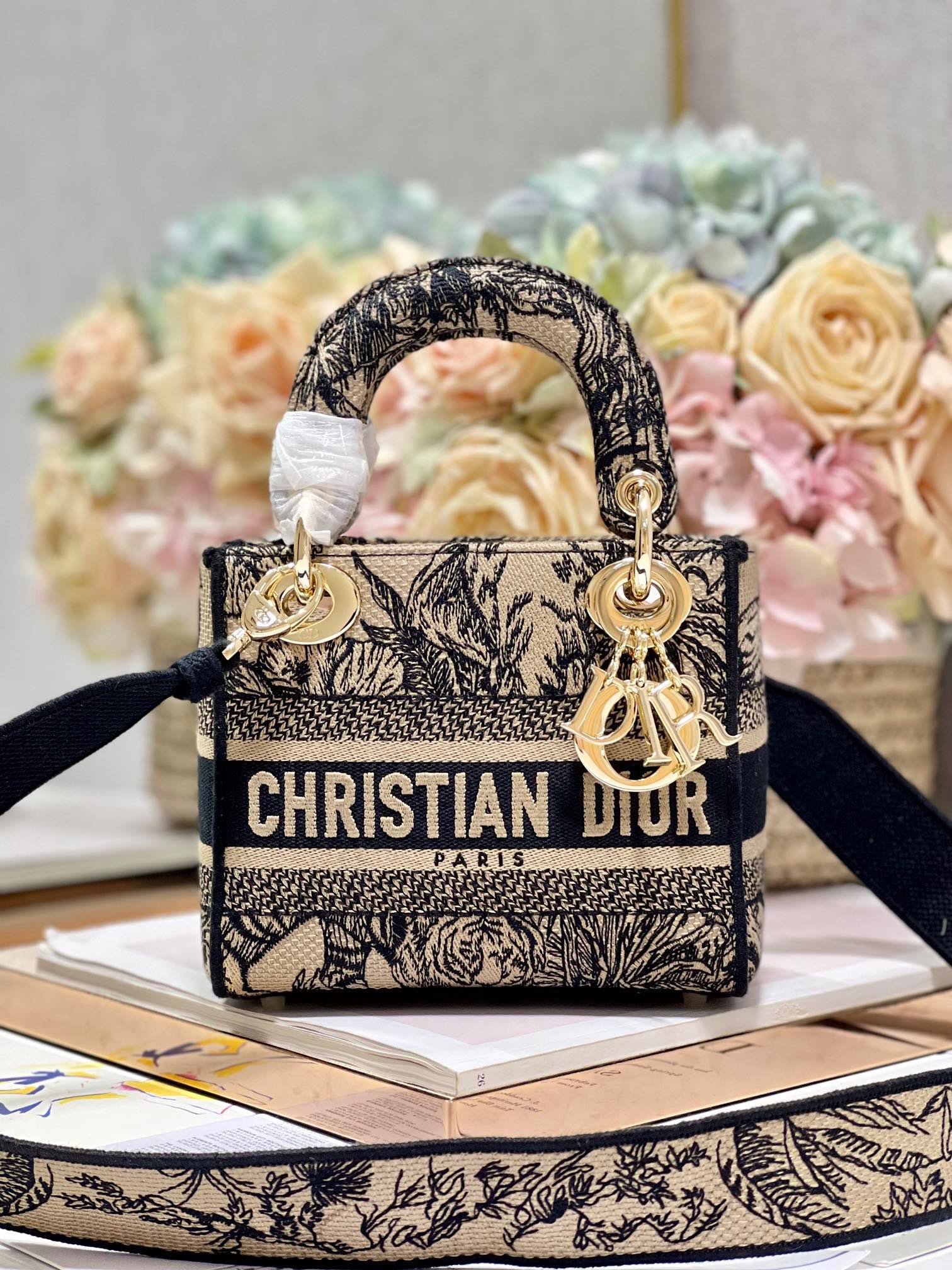 CD Elephant Apricot 17 Lady Dior Bag Canvas 336749 mysite