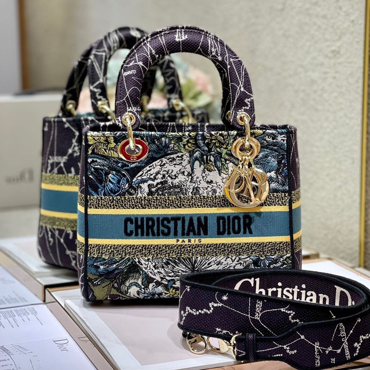 CD Blue Constellation 24 Lady Dior Bag Canvas 336724 mysite