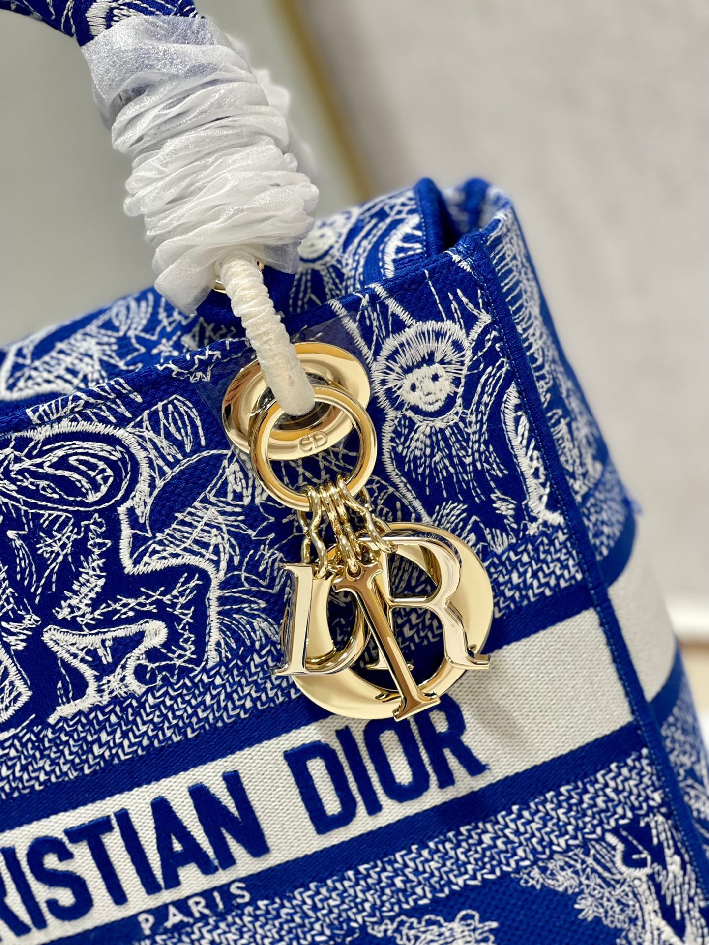 CD New Blue Tiger 24 Lady Dior Bag Canvas 336715 mysite