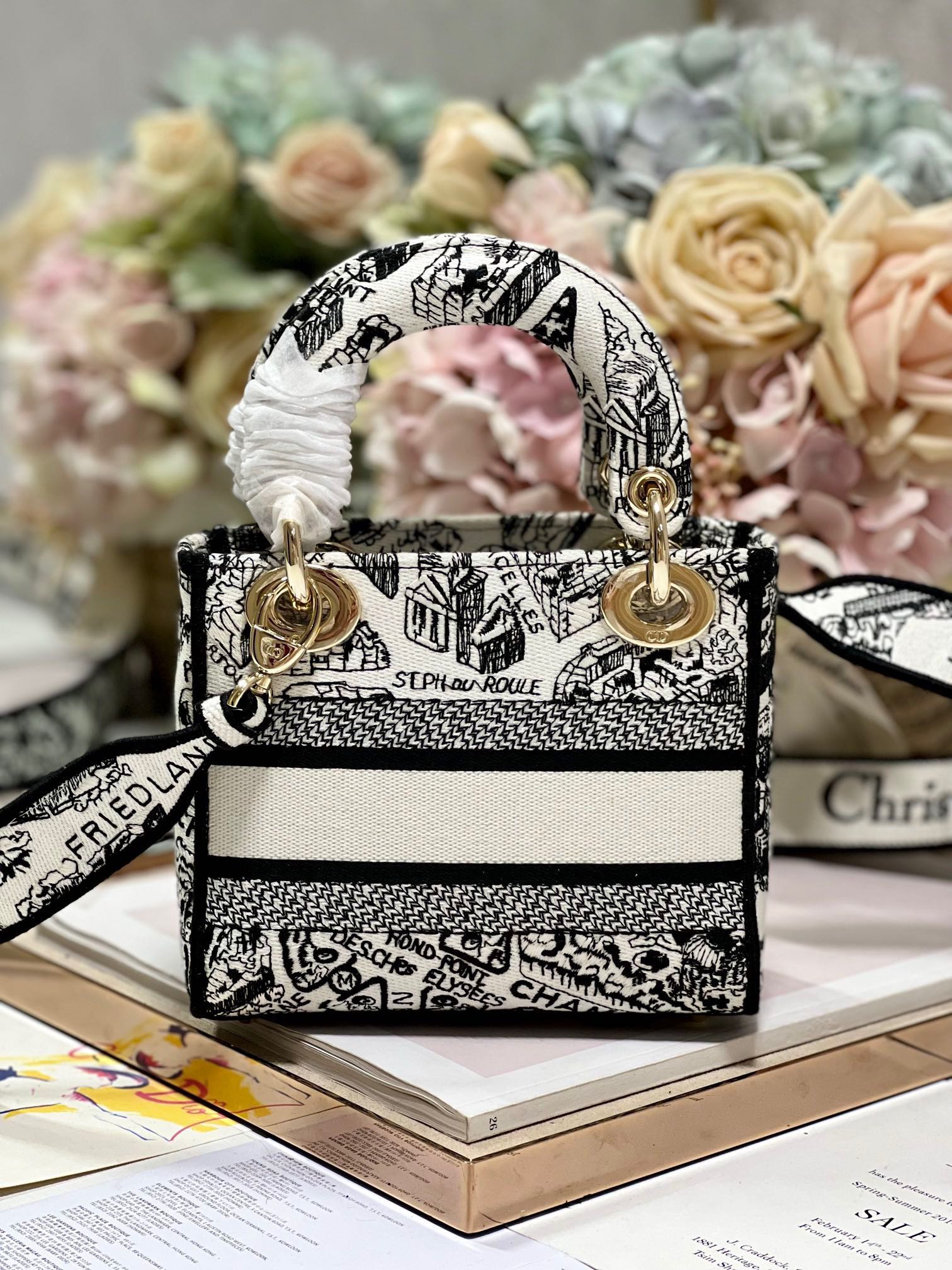 CD Paris White 17 Lady Dior Bag Canvas 336756 mysite
