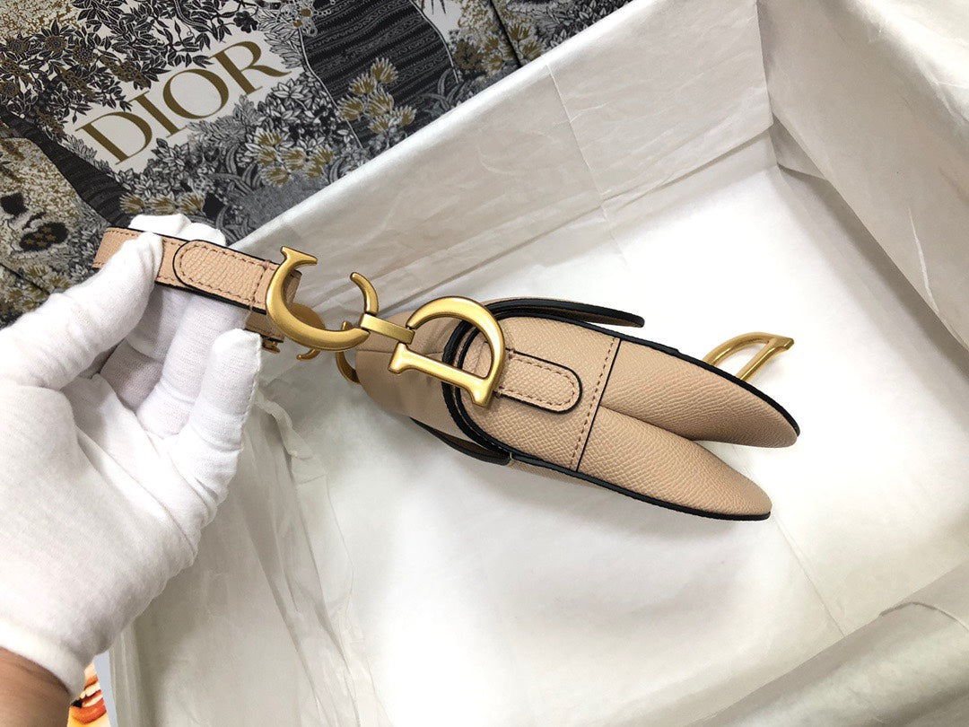 Dior Saddle Small Nude Color 21x18x5 cm mysite