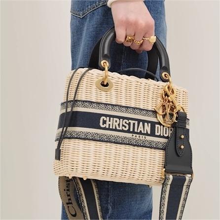 Dior Lady Oblique Bag mysite
