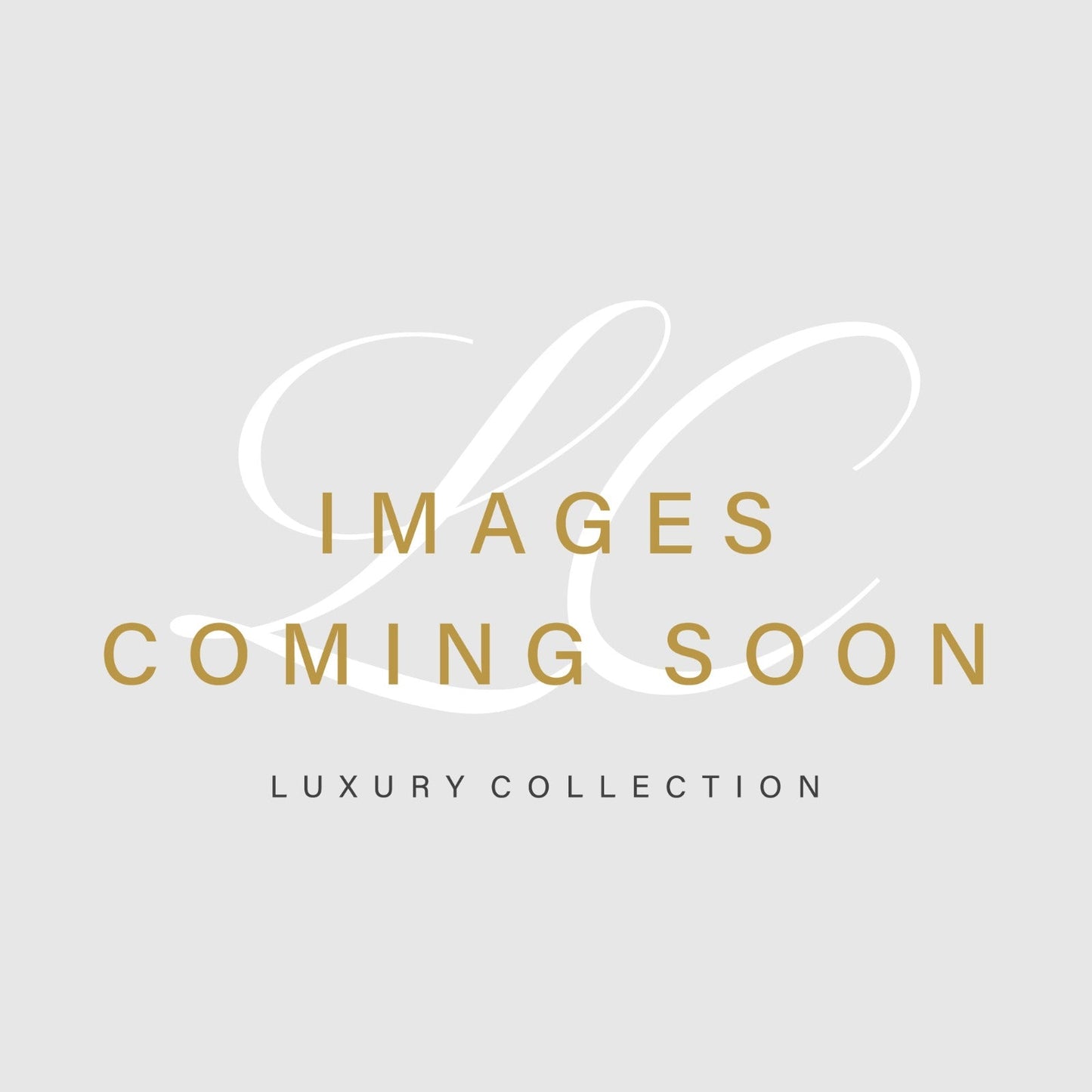Fashion Bags mysite