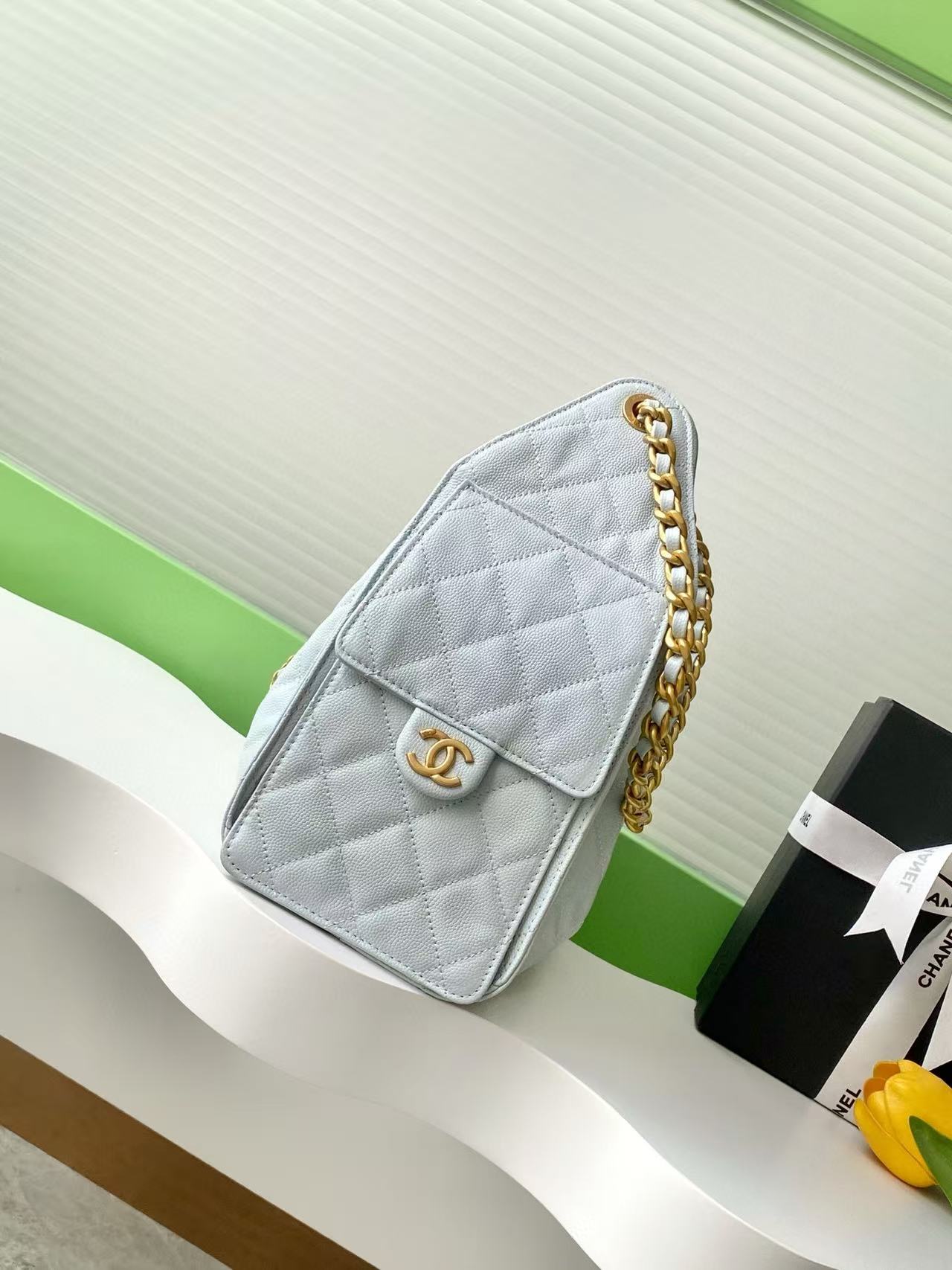 CC 25C Hobo Bag 30cm Light Blue Grained Calfskin mysite