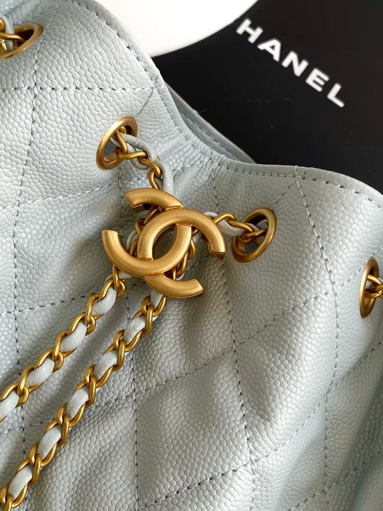 CC 25C Hobo Bag 30cm Light Blue Grained Calfskin mysite