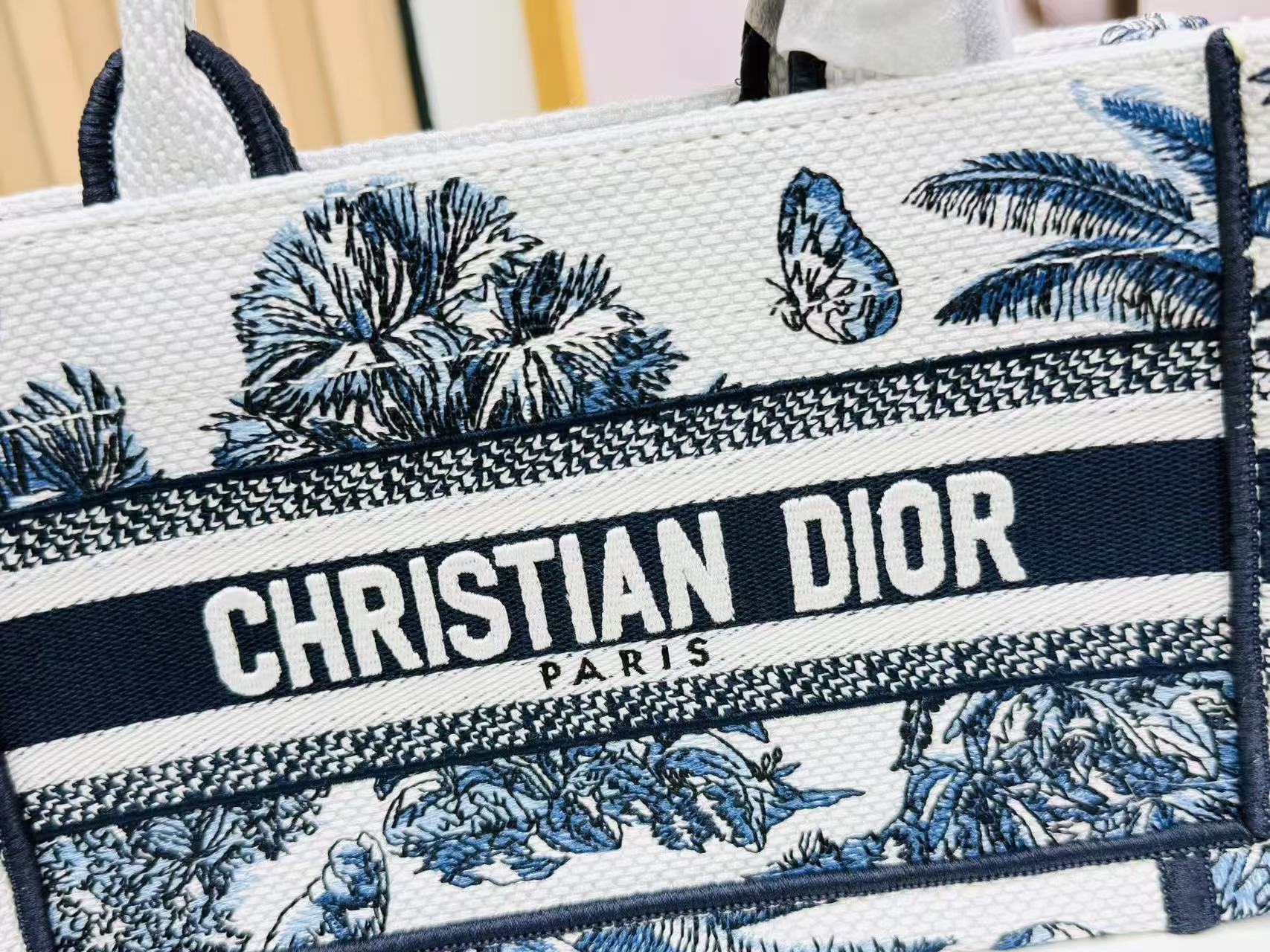 Dior Book Tote 21 cm Blue White Canvas mysite