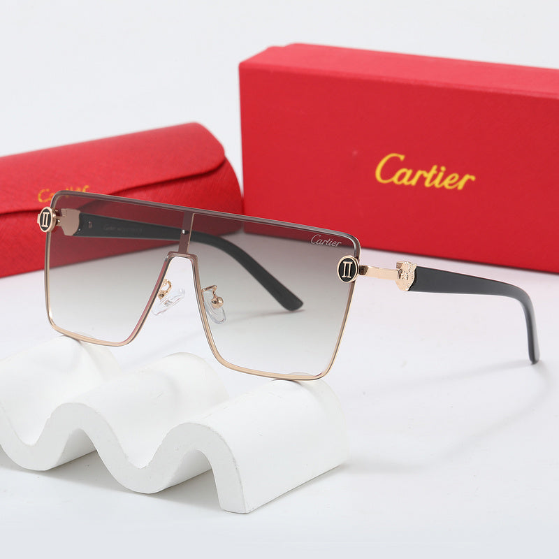 Fashion Sunglasses—110345 Luxcases.shop