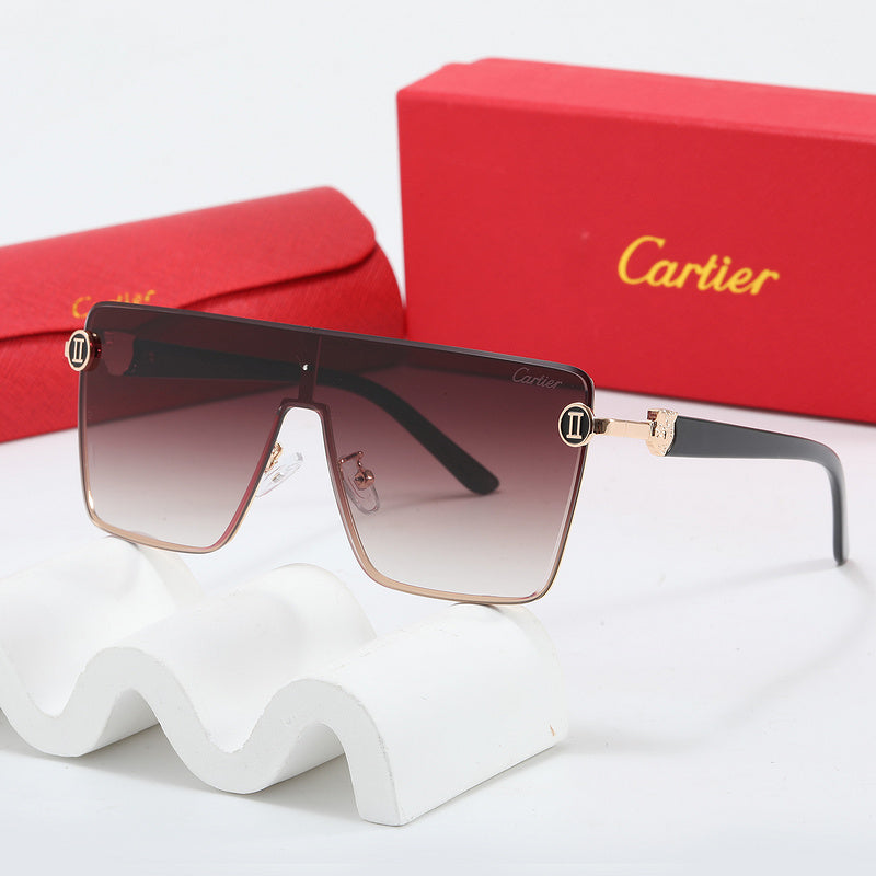 Fashion Sunglasses—110345 Luxcases.shop