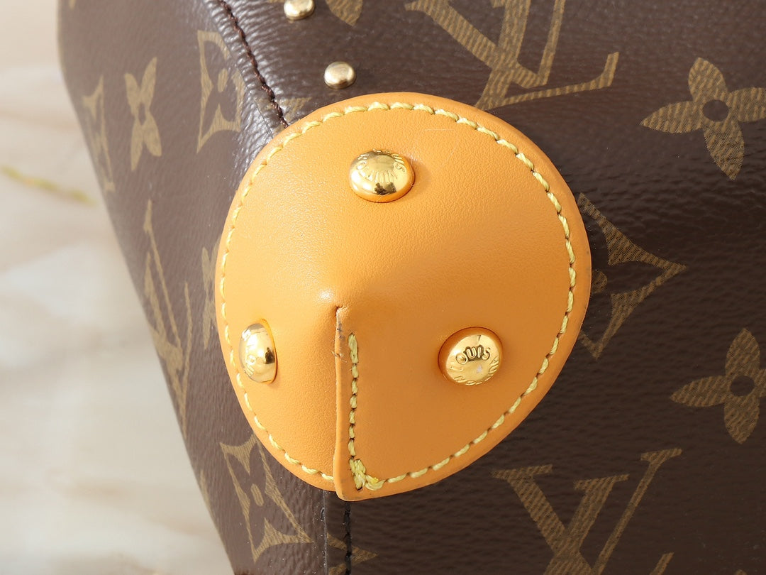 Louis Vuitton LV Classic No¨¦ Handbag Tote Bag 23x27x8cm mysite