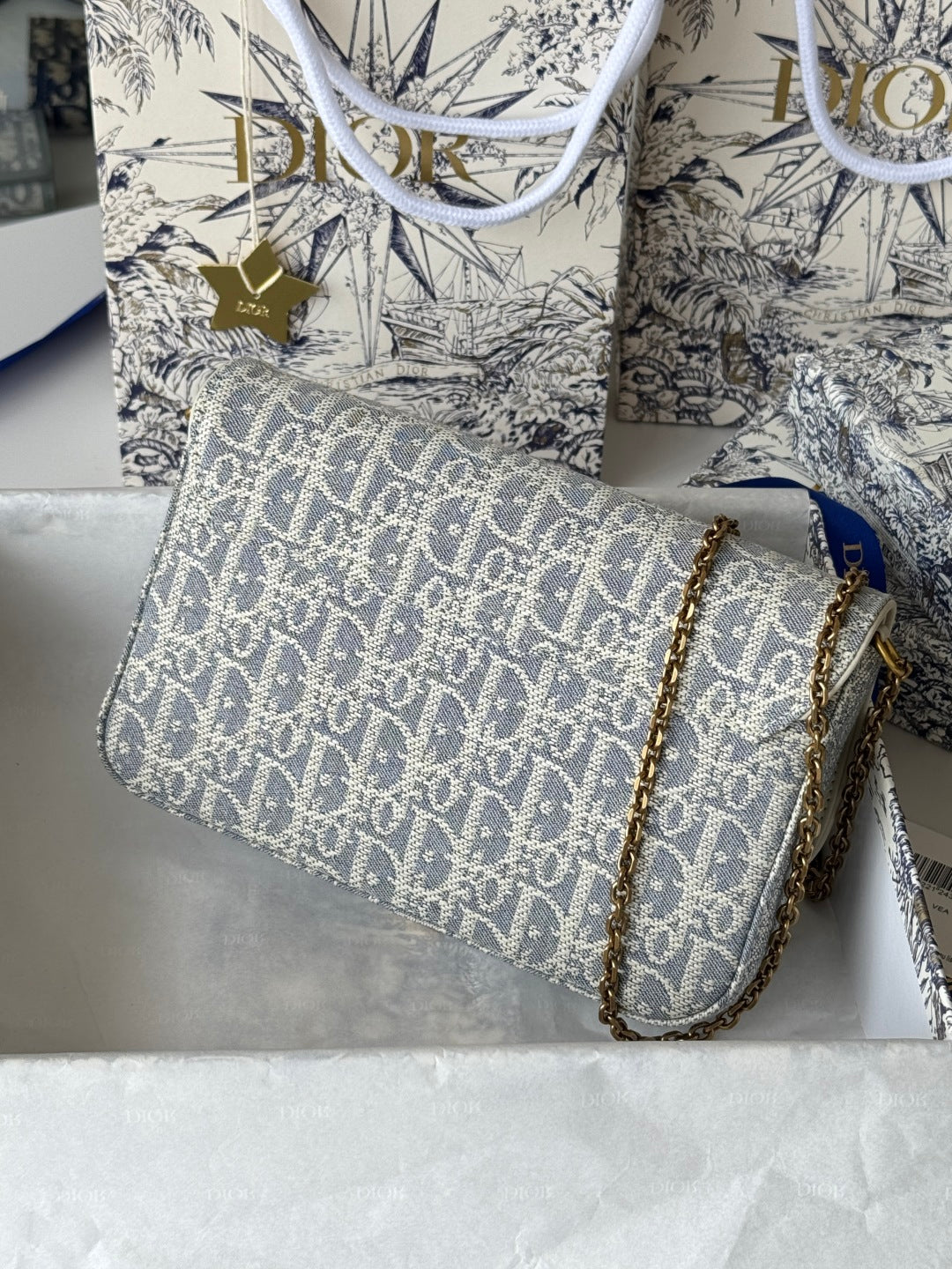 CD Medium Saddle Pouch with Chain 21.5cm White Grey Jacquard Cowhide GHW mysite