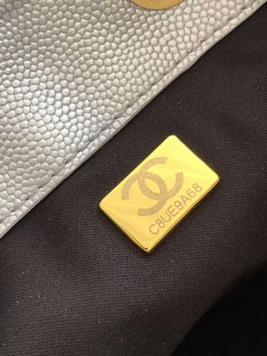 CC 25C Hobo Bag 30cm Silver Metalic Grained Calfskin mysite