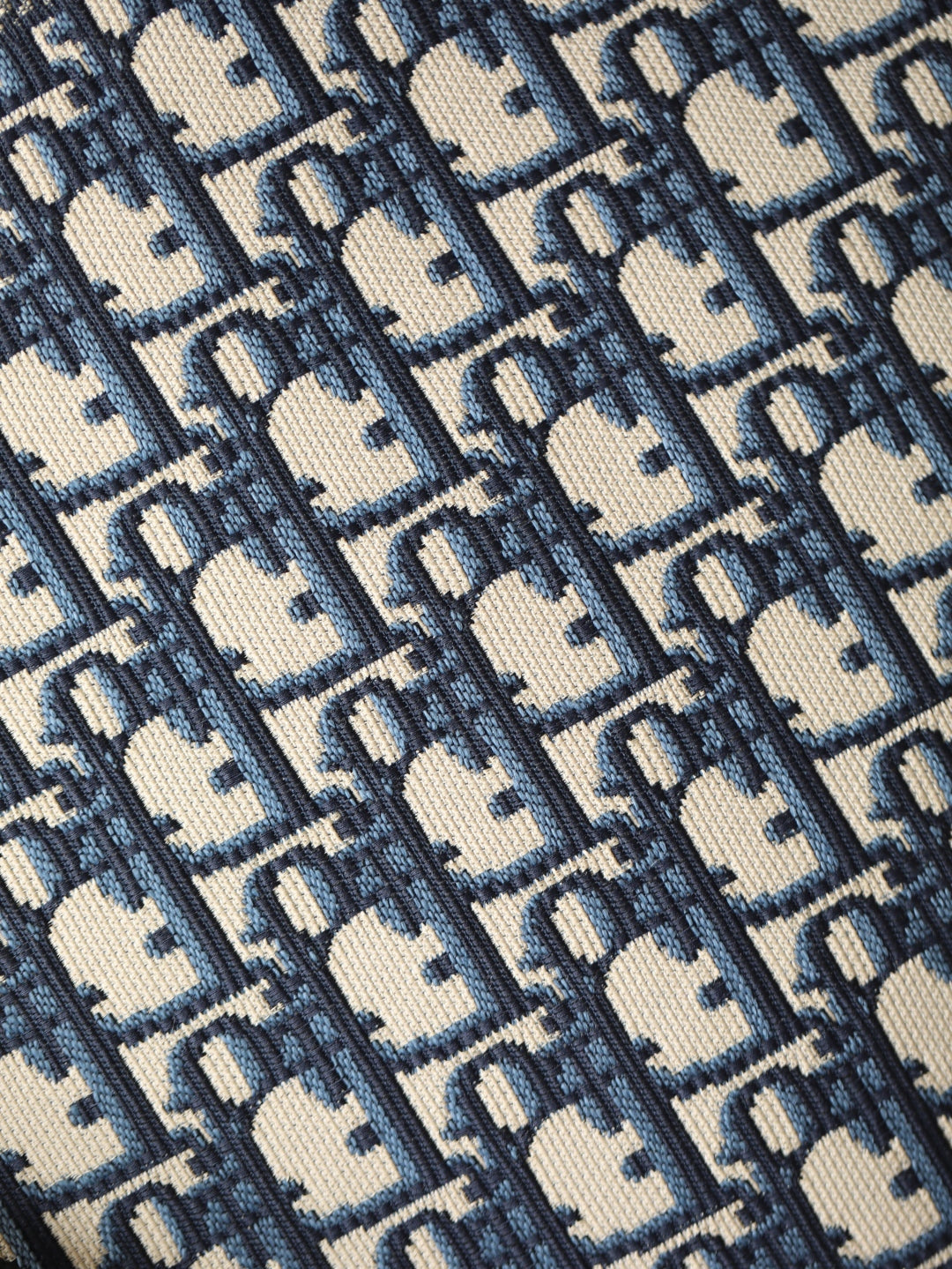 CD Monogram Backpack Blue Beige Canvas mysite