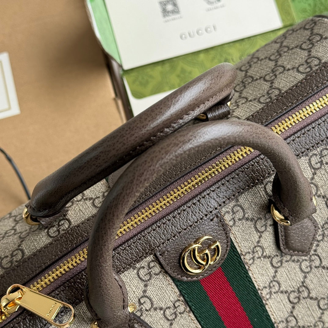Gucci Ophidia Bag Beige mix Brown Canvas 240085 mysite