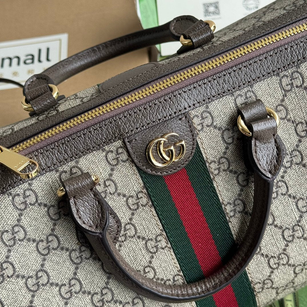 Gucci Ophidia Bag Beige mix Brown Canvas 240085 mysite