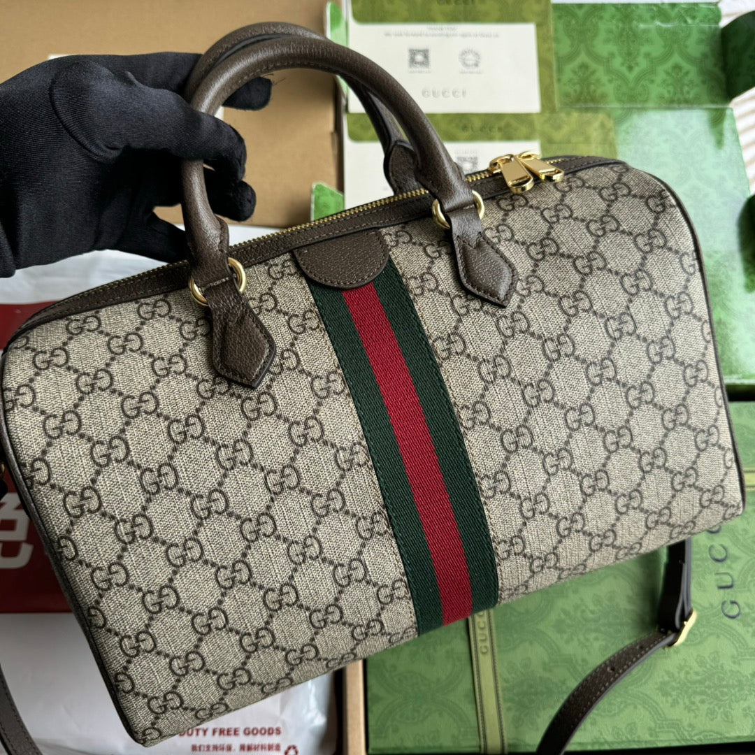 Gucci Ophidia Bag Beige mix Brown Canvas 240085 mysite
