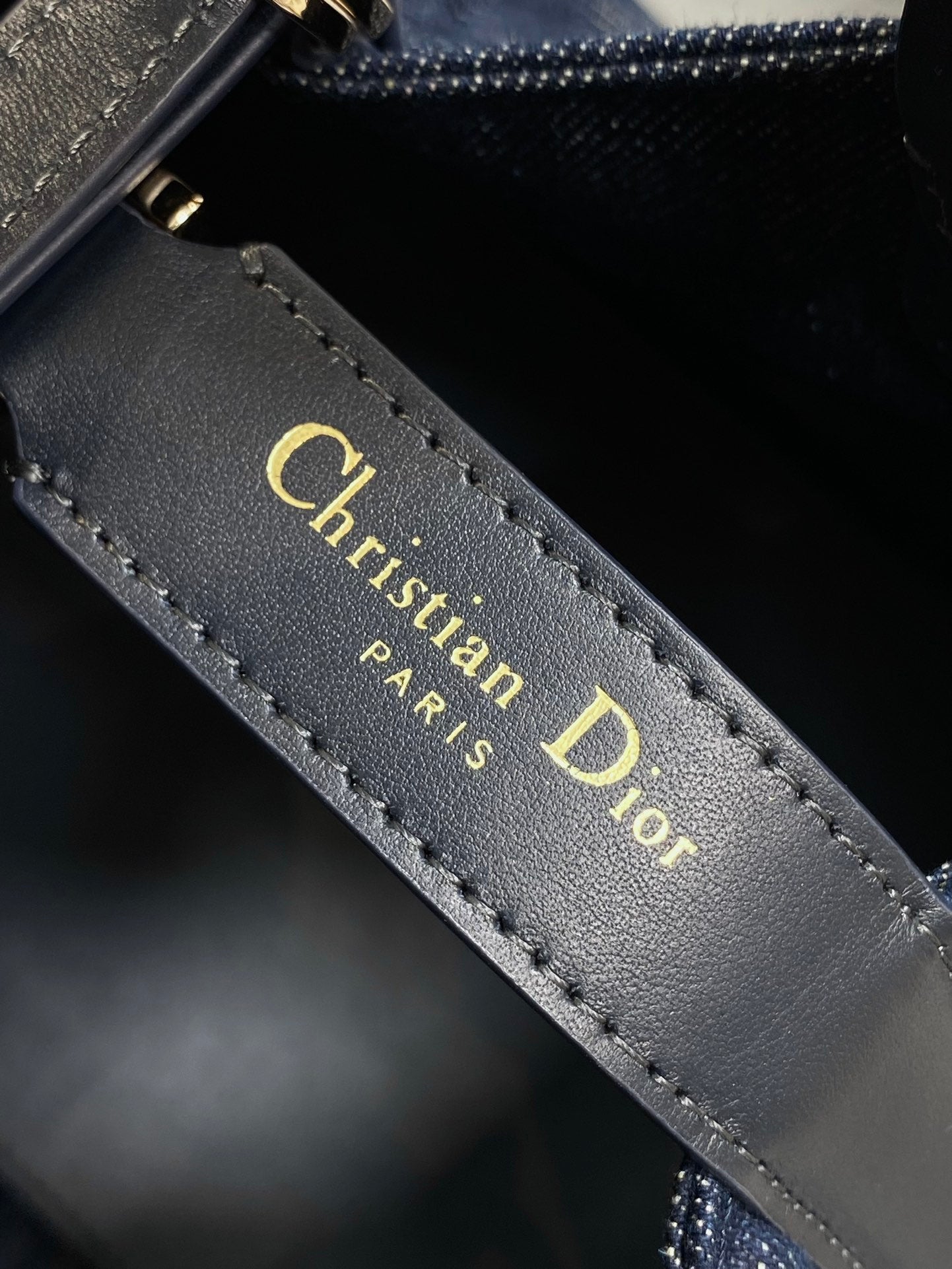 MEDIUM 28 TOUJOURS BAG IN BLUE GRAPHIC CANNAGE DENIM mysite