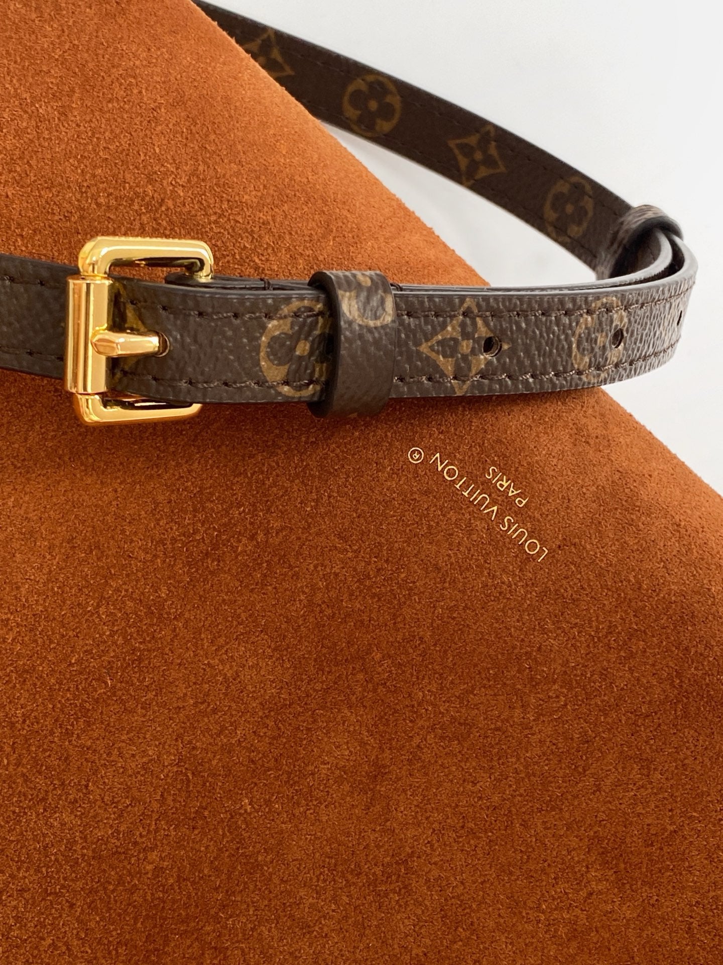 LV Side Trunk MM 23.5cm Brown Suede Canvas mysite