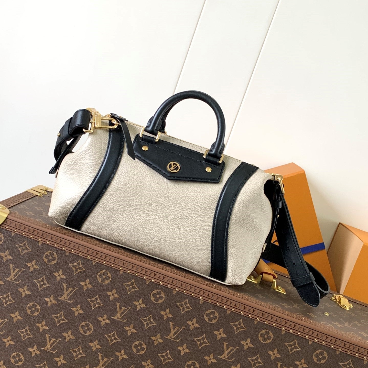 LV Nano LV Biker 30cm Black Beige Sheepskin & Cowhide Metal mysite