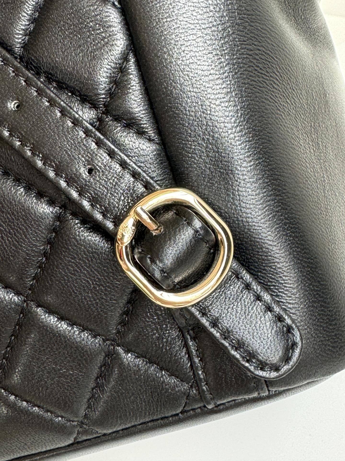 duma backpack 22cm black lambskin light gold hardware mysite