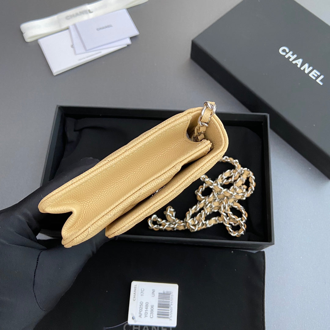 CC Woc 20cm Lime Grained Calfskin Silver Hardware mysite