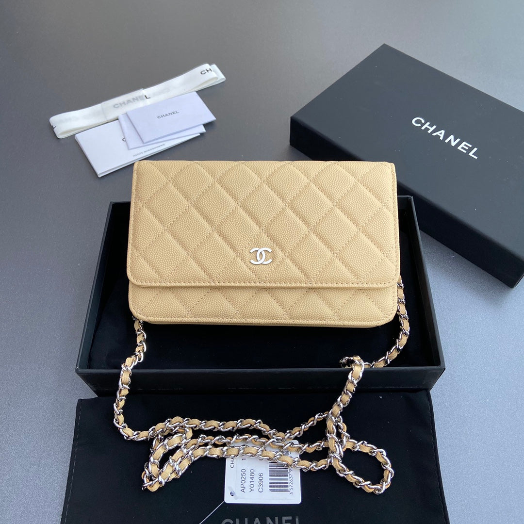 CC Woc 20cm Lime Grained Calfskin Silver Hardware mysite