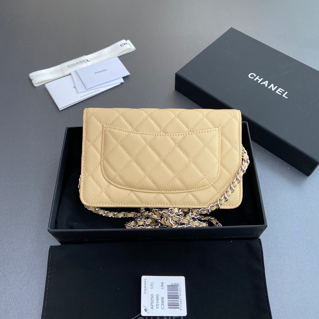 CC Woc 20cm Lime Grained Calfskin Silver Hardware mysite