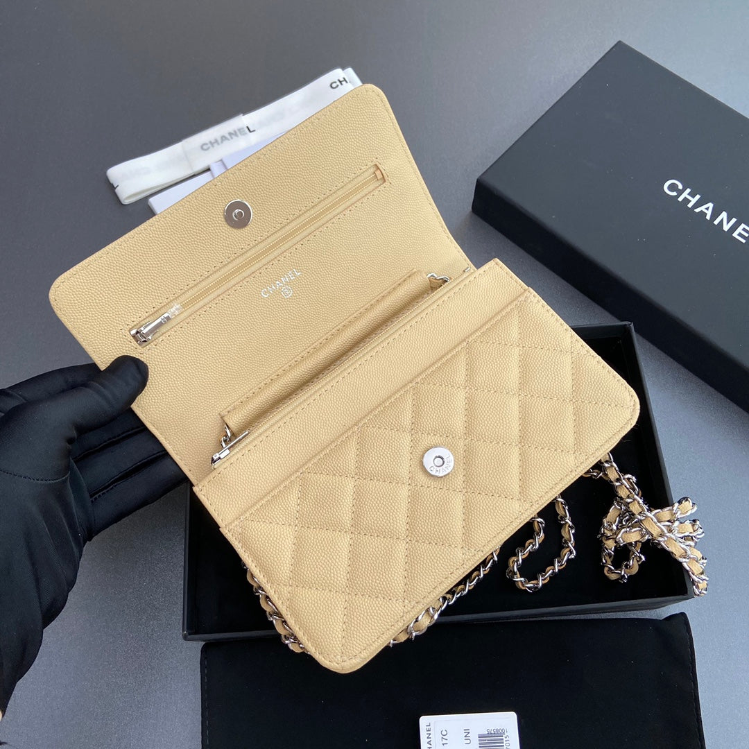 CC Woc 20cm Lime Grained Calfskin Silver Hardware mysite