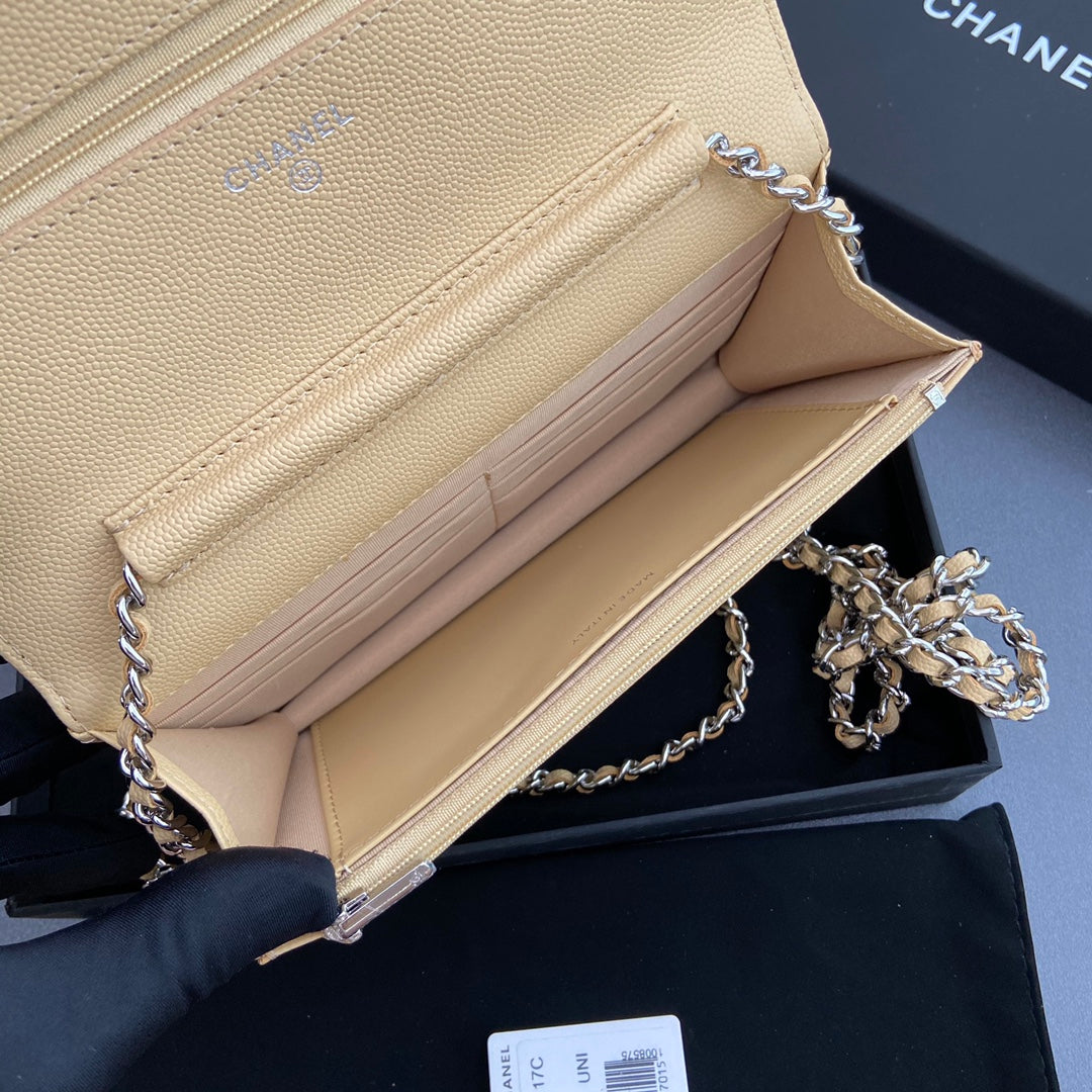 CC Woc 20cm Lime Grained Calfskin Silver Hardware mysite