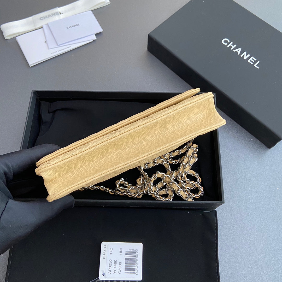 CC Woc 20cm Lime Grained Calfskin Silver Hardware mysite