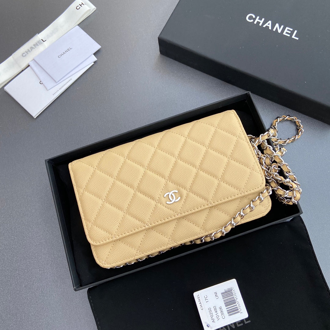 CC Woc 20cm Lime Grained Calfskin Silver Hardware mysite