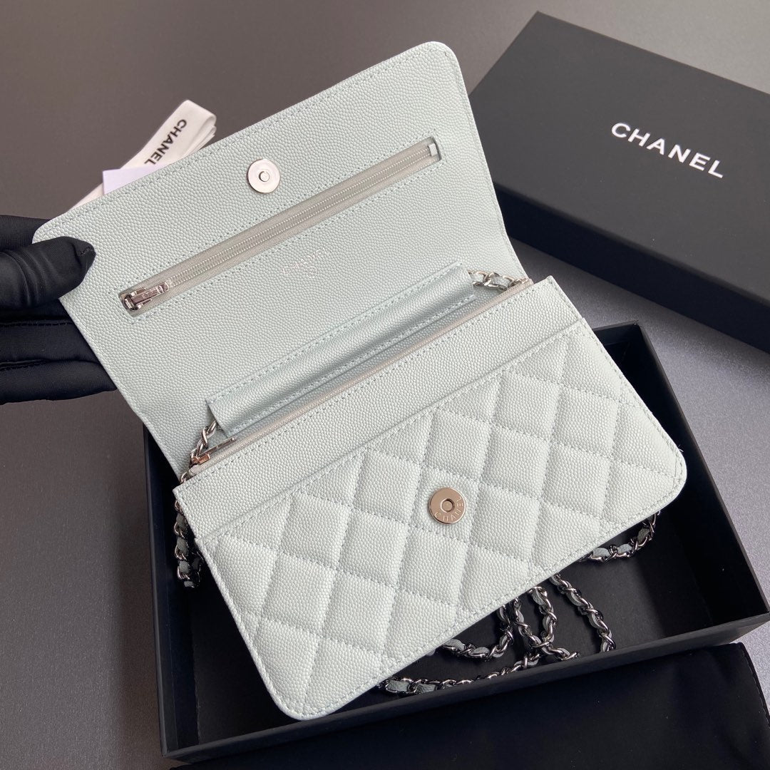 CC Woc 20cm Light Blue Grained Calfskin Silver Hardware mysite