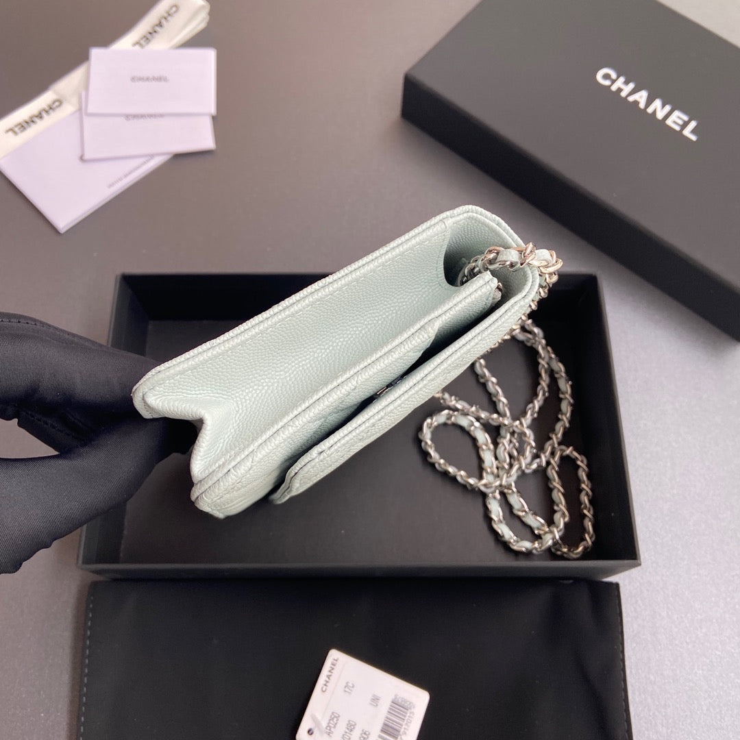 CC Woc 20cm Light Blue Grained Calfskin Silver Hardware mysite