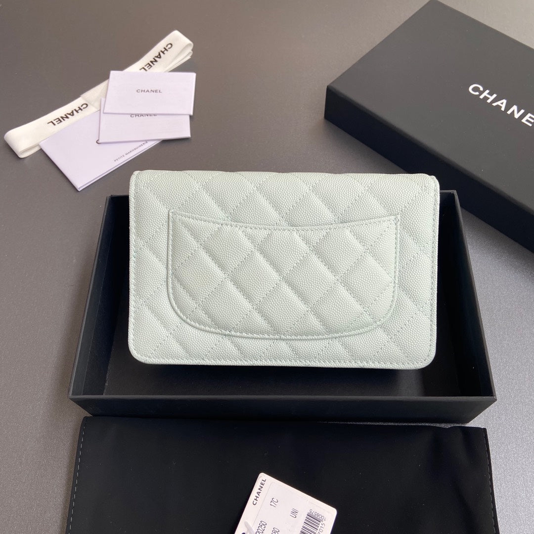 CC Woc 20cm Light Blue Grained Calfskin Silver Hardware mysite