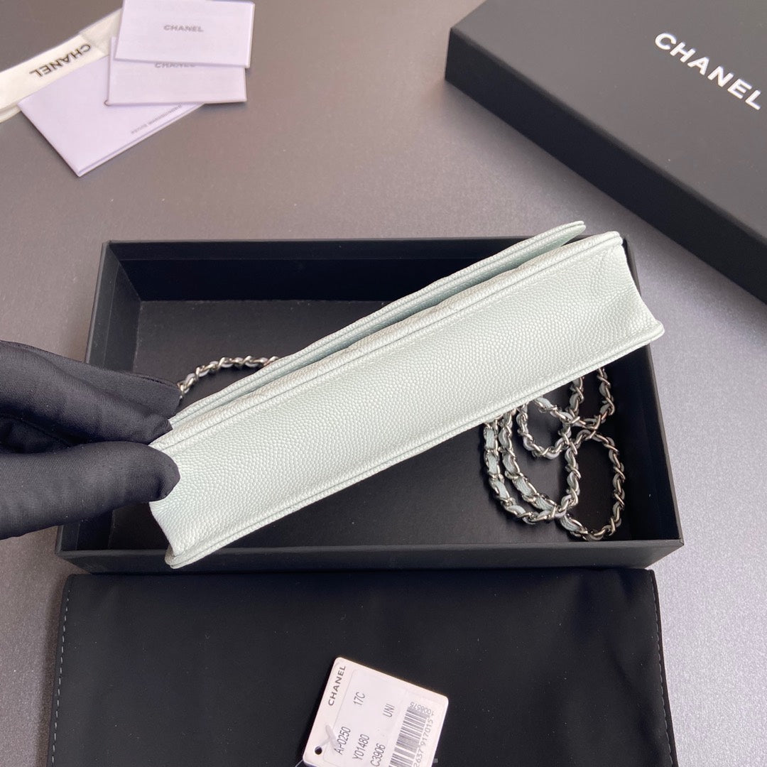 CC Woc 20cm Light Blue Grained Calfskin Silver Hardware mysite