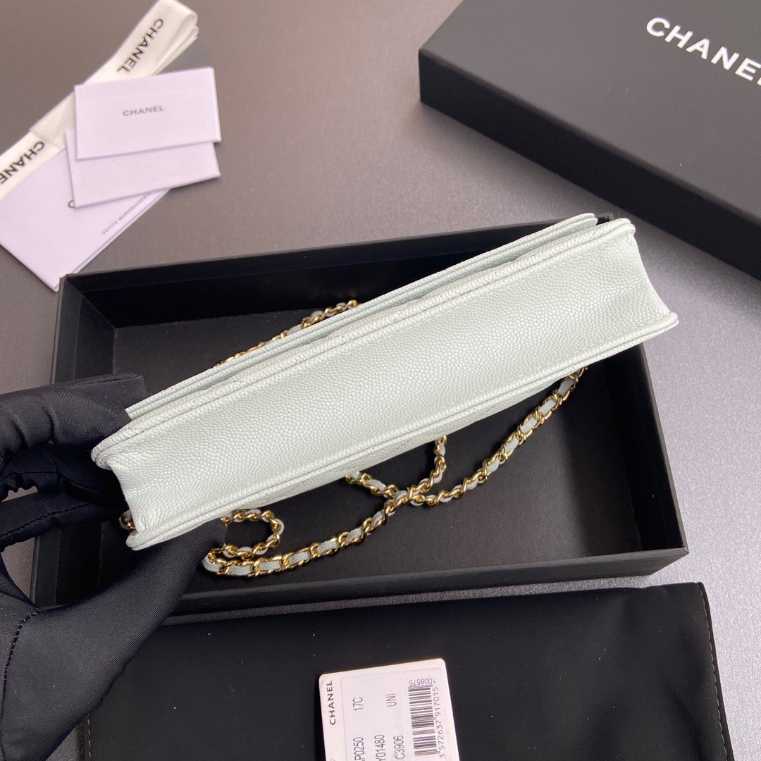 CC Woc 20cm Light Blue Grained Calfskin Gold Hardware mysite