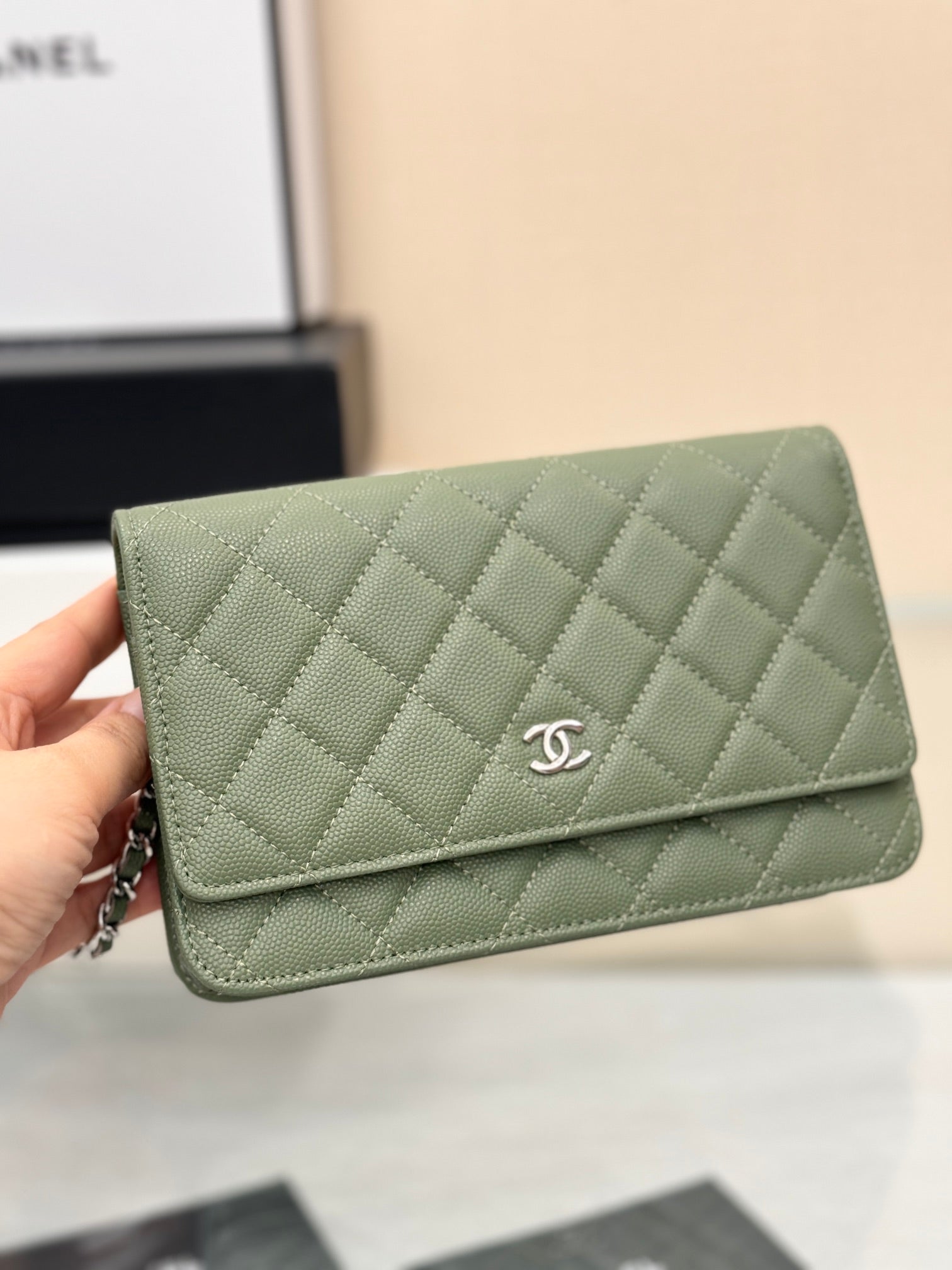 WOC 19CM KHAKI BLUE CAVIAR SILVER HARDWARE mysite