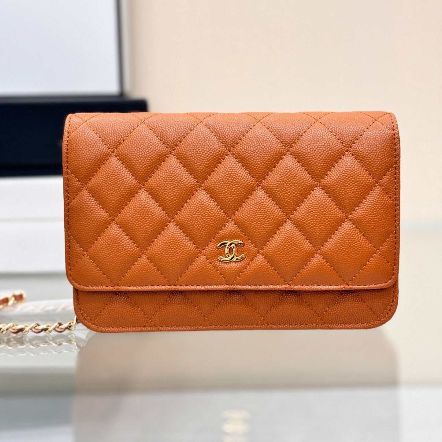 WOC 19CM ORANGE CAVIAR GOLD HARDWARE mysite