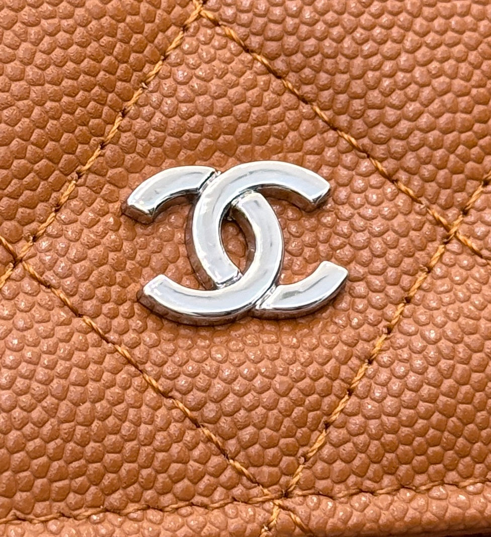 WOC 19CM ORANGE CAVIAR SILVER HARDWARE mysite