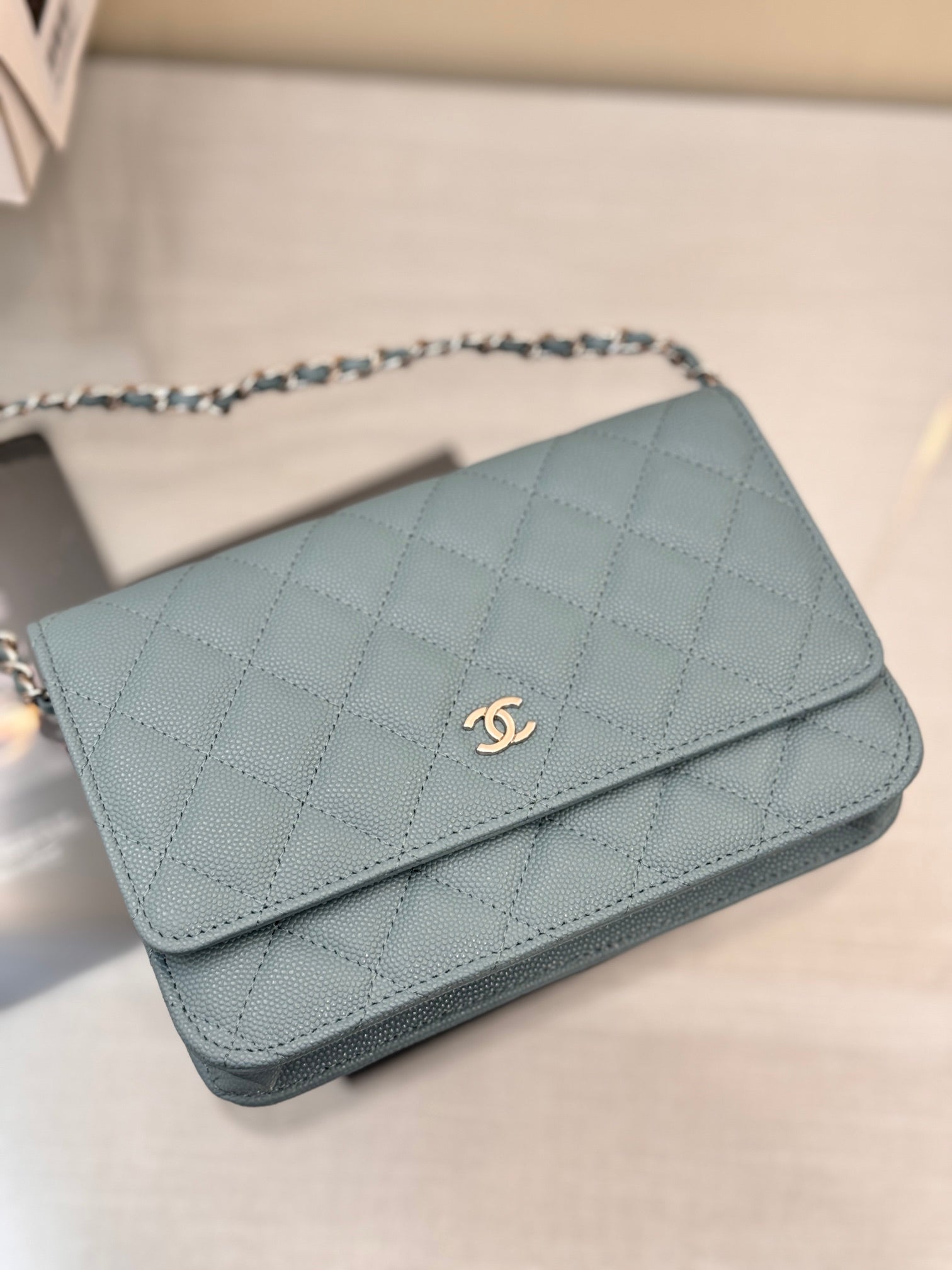 WOC 19CM CLOUD BLUE CAVIAR SILVER HARDWARE mysite