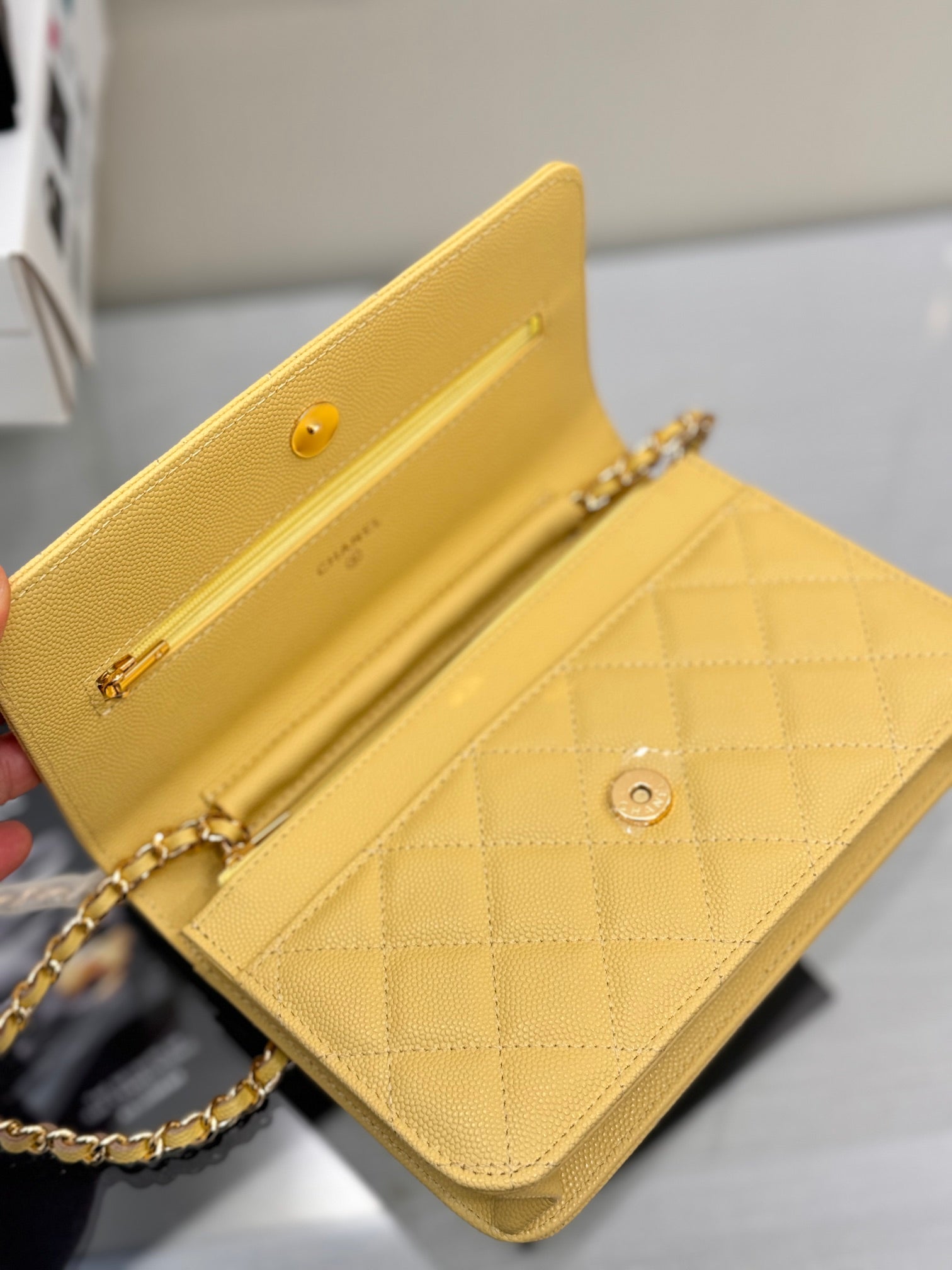 WOC 19CM LIME CAVIAR GOLD HARDWARE mysite