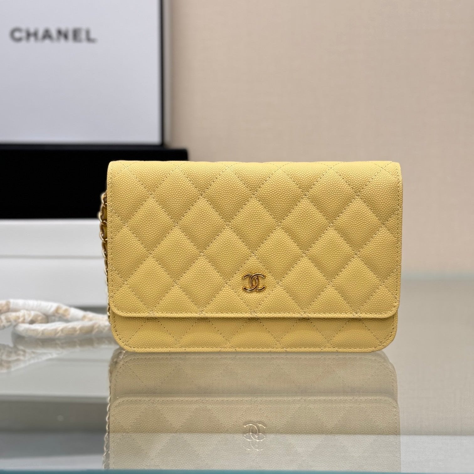 WOC 19CM LIME CAVIAR GOLD HARDWARE mysite