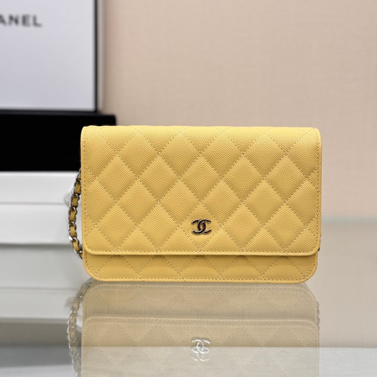 WOC 19CM LIME CAVIAR SILVER HARDWARE mysite